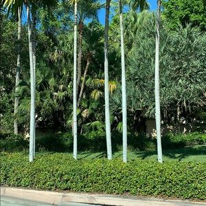 Meet your Posher, Valentina